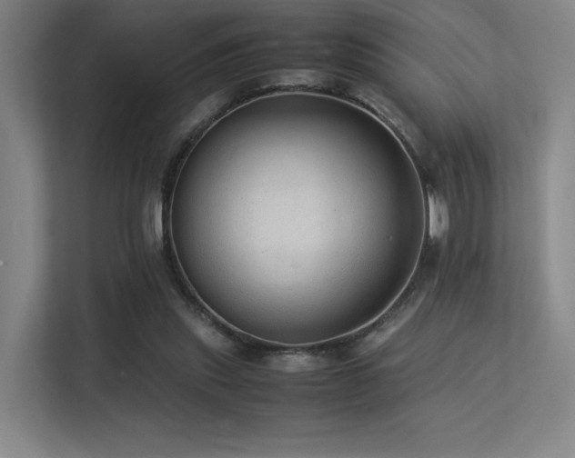 X0000113240253200909101414