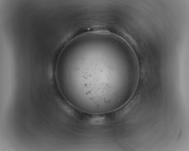 X0000113240257200909101414