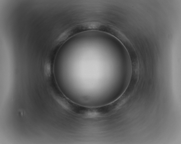 X0000113240262200909101414