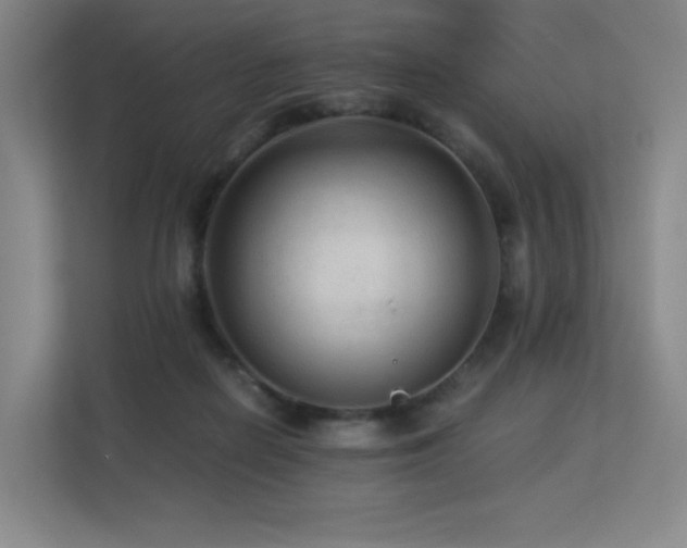 X0000113240266200909101414