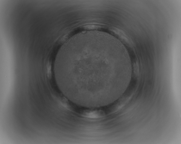 X0000113240267200909101414