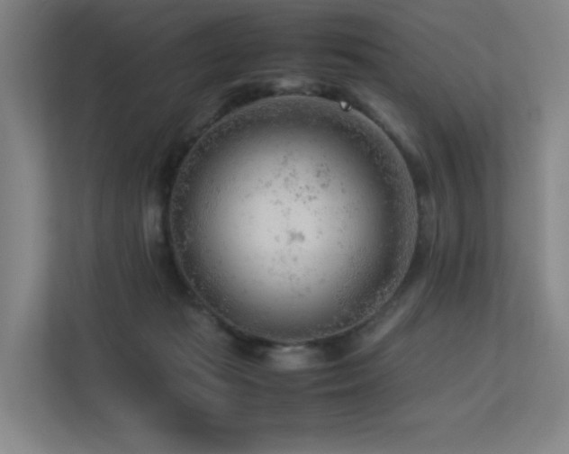 X0000113240269200909101414