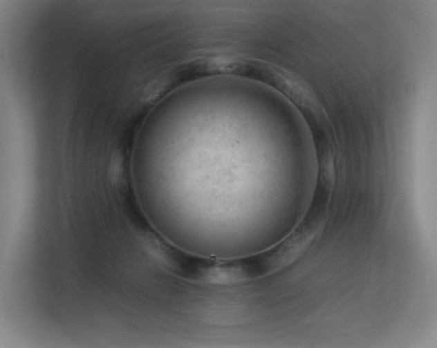 X0000113240270200909101414