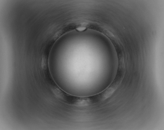 X0000113240274200909101414