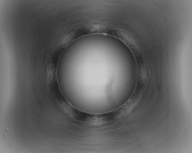 X0000113240276200909101414