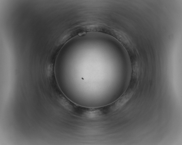 X0000113240278200909101414