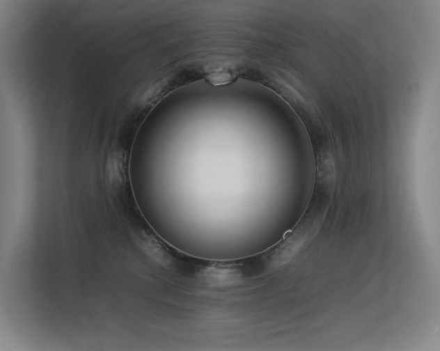 X0000113240280200909101414