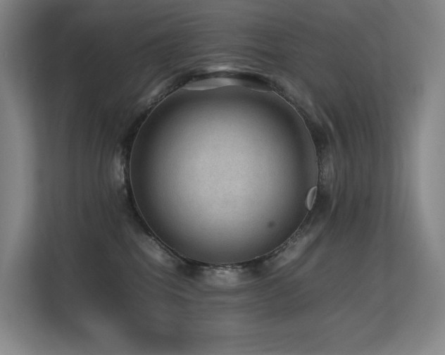 X0000113240282200909101414