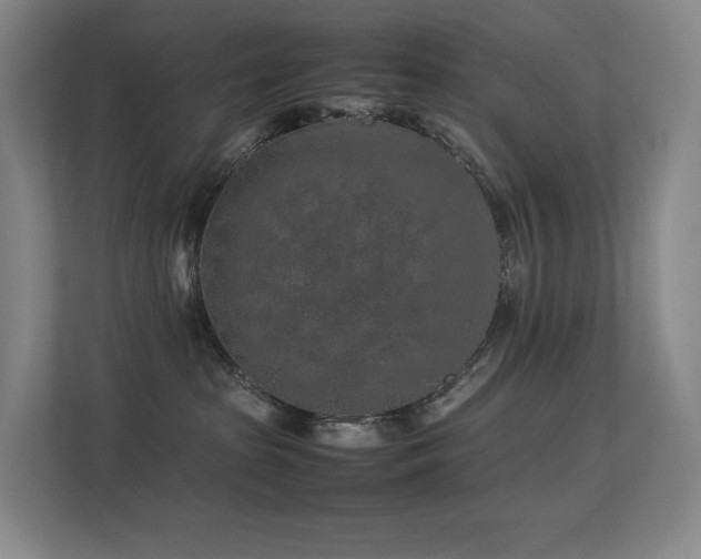 X0000113240285200909101414