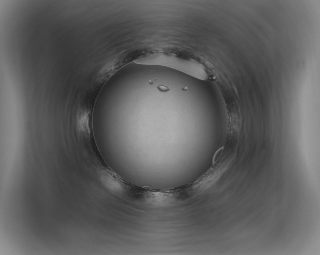 X0000113240286200909101414