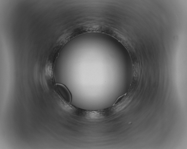 X0000113240287200909101414