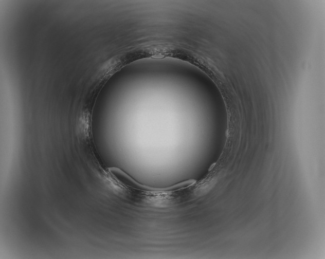 X0000113240288200909101414