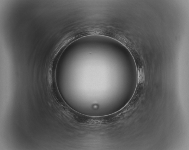 X0000113240291200909101414