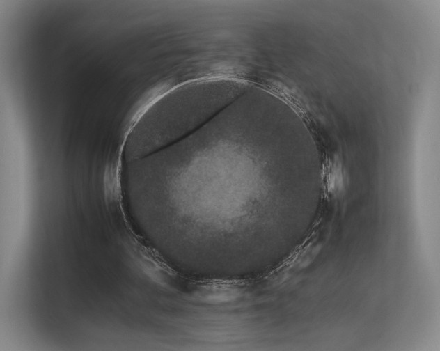 X0000113240292200909101414