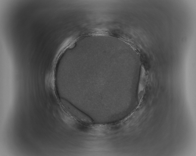 X0000113240293200909101414