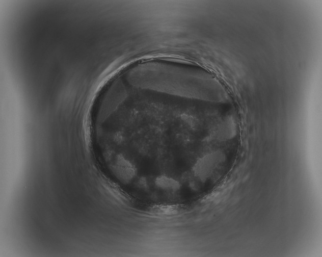 X0000113240295200909101414