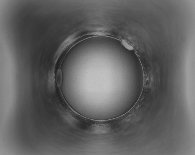 X0000113240296200909101414