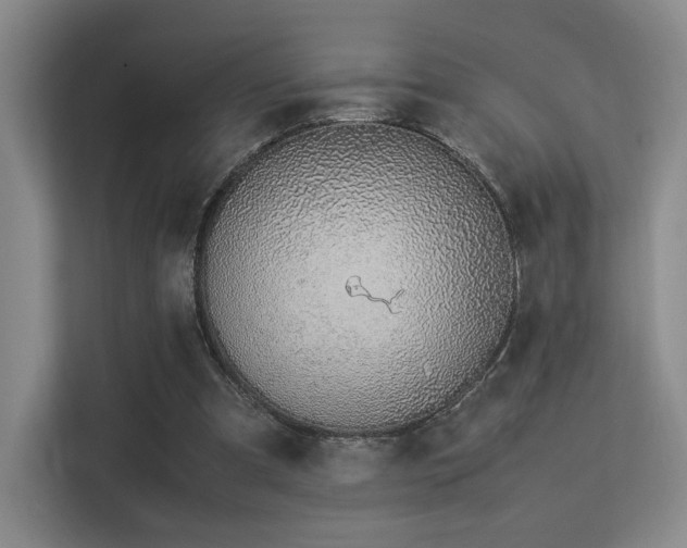 X0000113240297200909101414