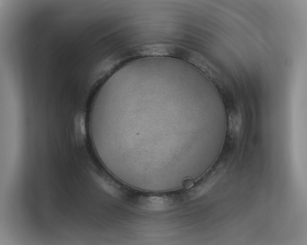 X0000113240302200909101414