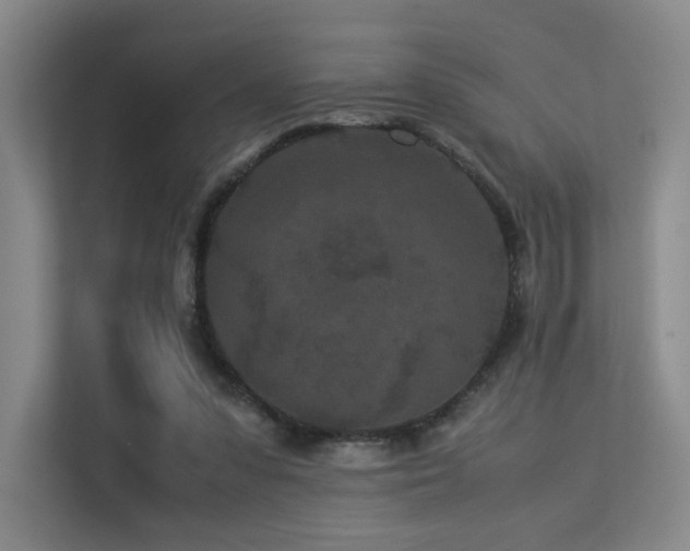 X0000113240303200909101414