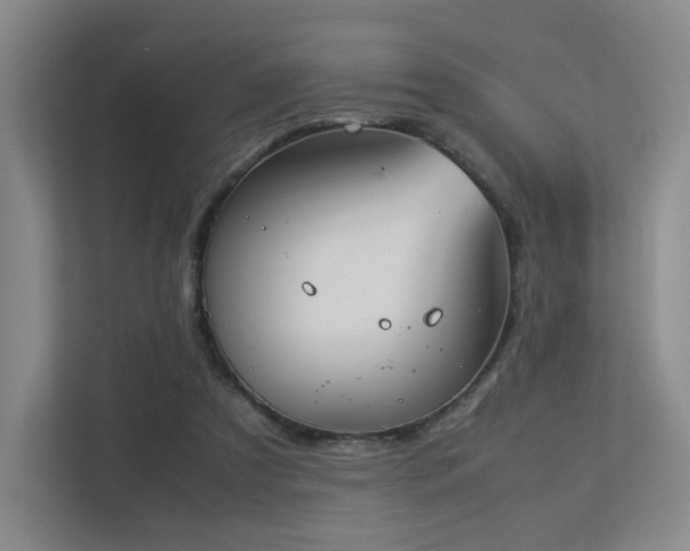 X0000113240305200909101413