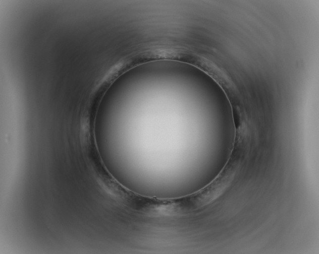 X0000113240306200909101413