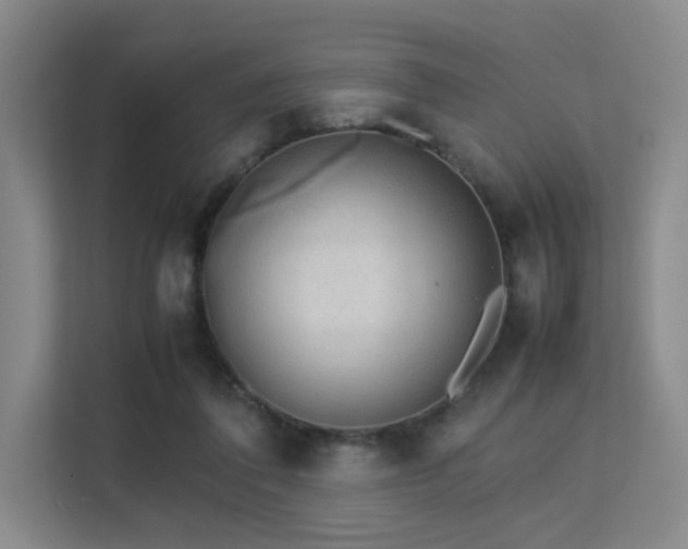 X0000113240308200909101413