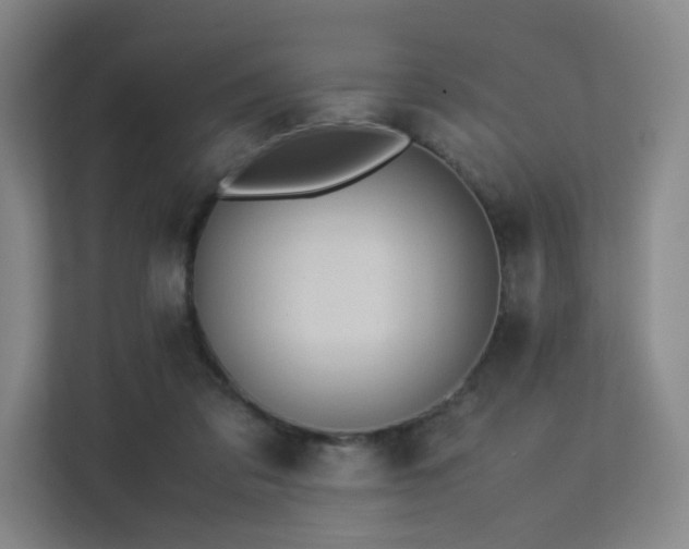 X0000113240309200909101413