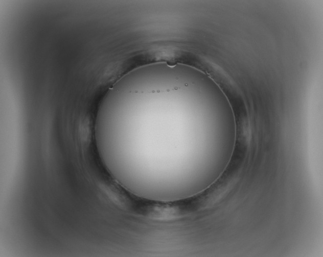 X0000113240311200909101413