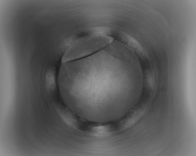 X0000113240312200909101413