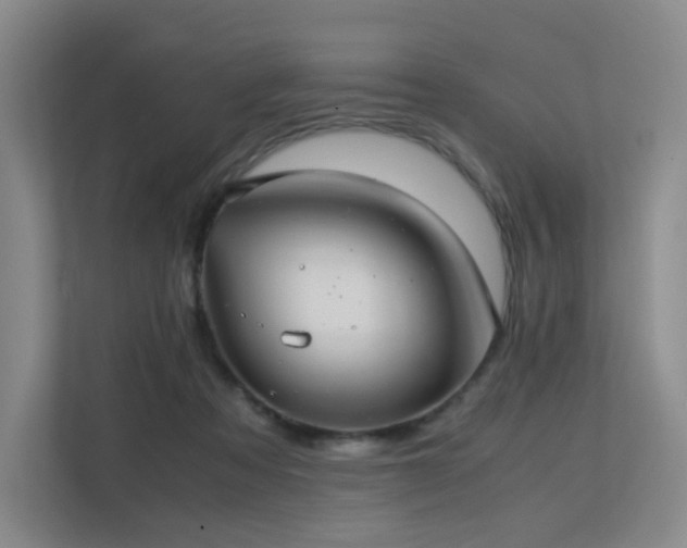 X0000113240313200909101413