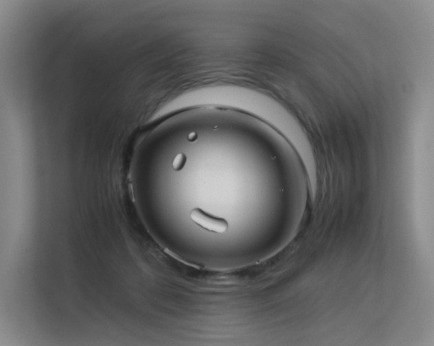 X0000113240316200909101413