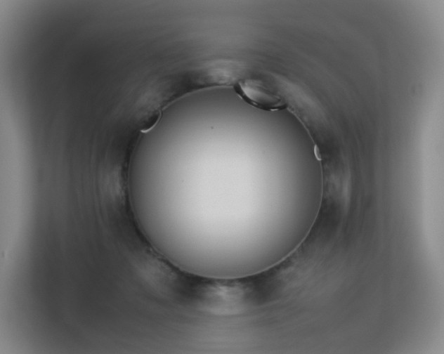 X0000113240317200909101413