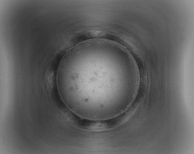 X0000113240319200909101413