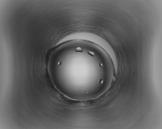 X0000113240320200909101413