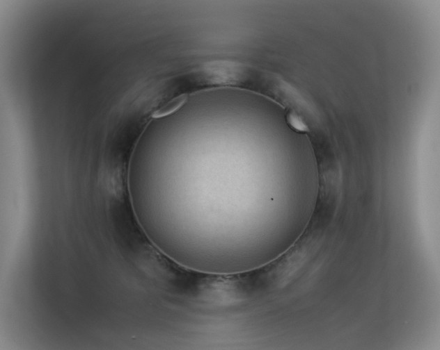 X0000113240325200909101413