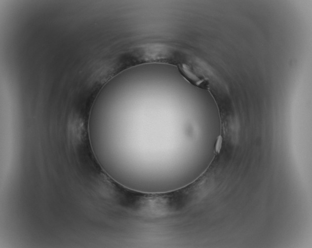 X0000113240327200909101413