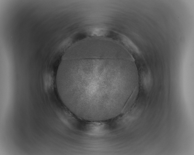 X0000113240328200909101413