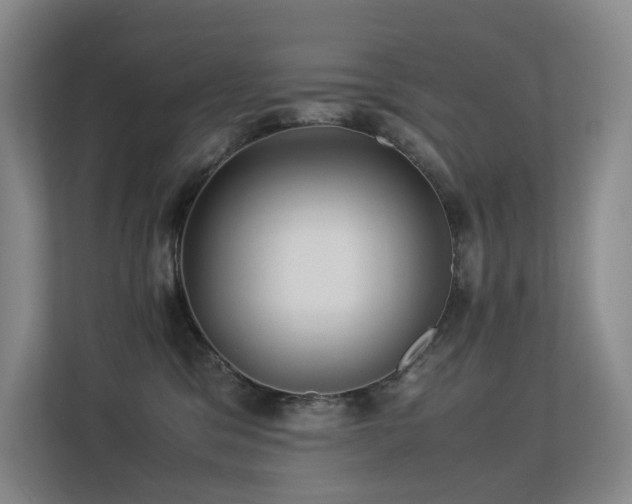 X0000113240329200909101413