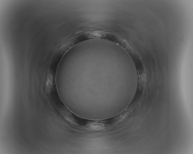 X0000113240331200909101413