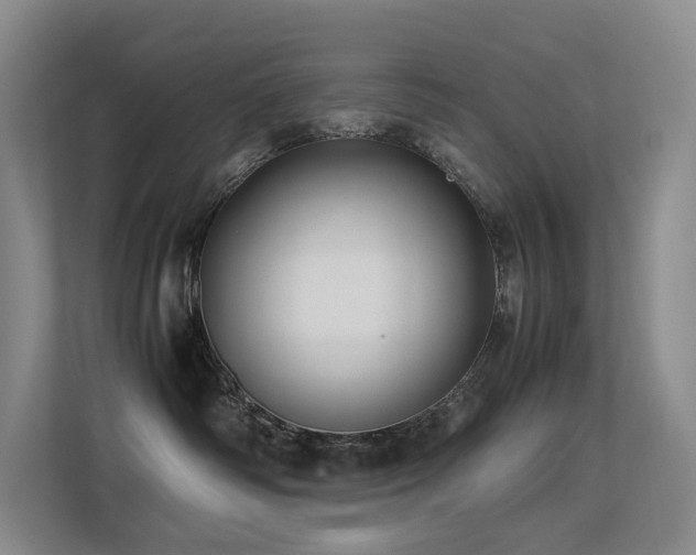 X0000113240334200909101413