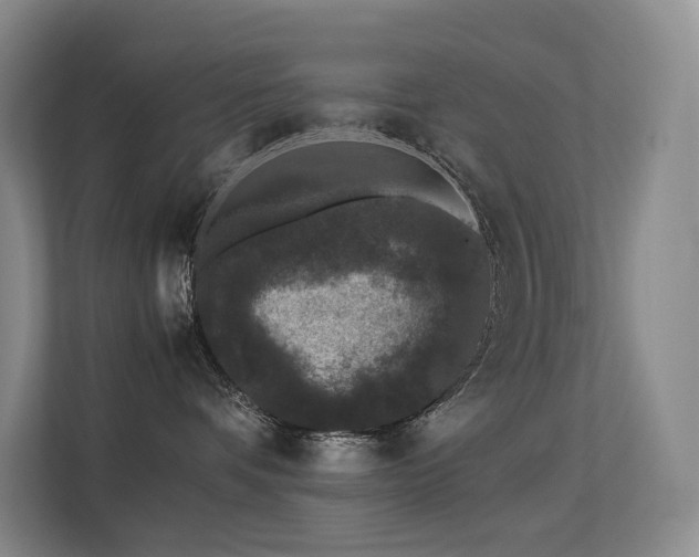 X0000113240336200909101413