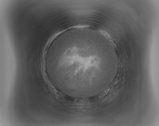 X0000113240337200909101412