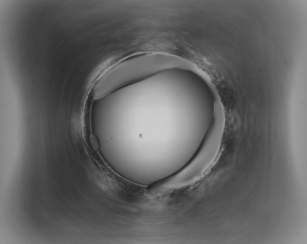 X0000113240340200909101412