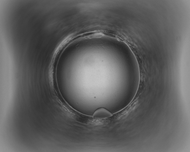 X0000113240341200909101413