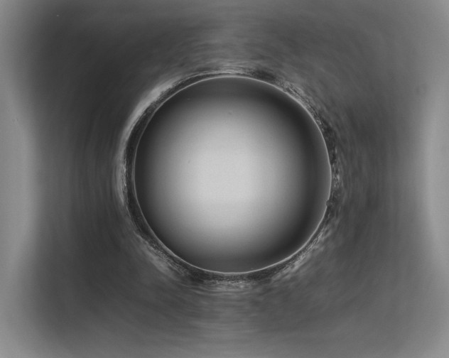 X0000113240342200909101413