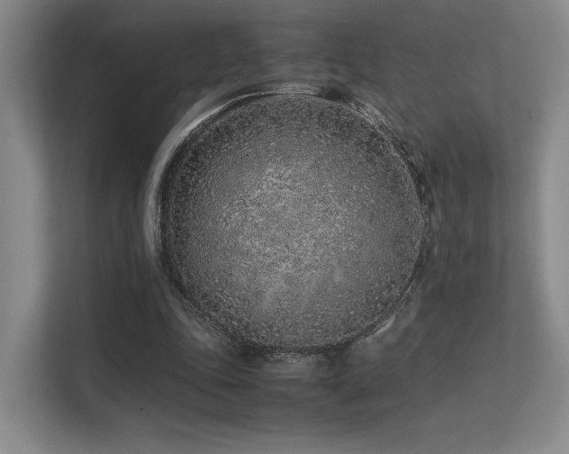 X0000113240343200909101413