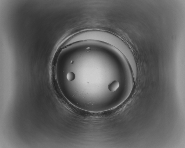 X0000113240344200909101413