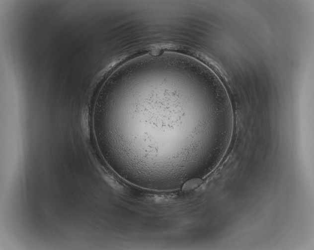 X0000113240345200909101413