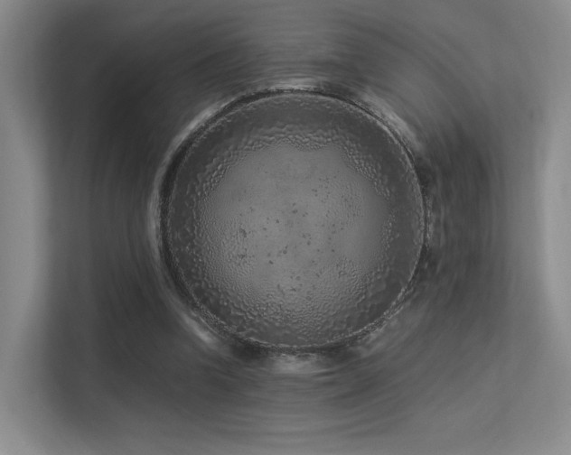 X0000113240346200909101413